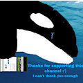 A thank you to everyone