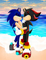 Sonadow at the beach~