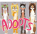 *A*_Fox puppies