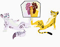 macro paws relaxation