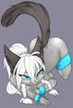 bondage kitty by Mishie