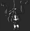 Black suit Spider-cat