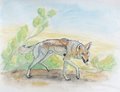 Heyoka by LostWolfSpirit