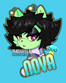 Nova Badge