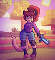Minecraft Poss
