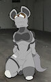 Haida