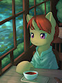 Cinnamon Tea