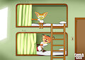Bunk bed Buddies by FinnickAbrenica
