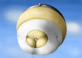 Herro High on Helium (Air Inflation) by DarlaGator