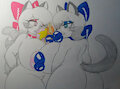 Siamese Smooches