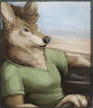 Piper Badge Commission