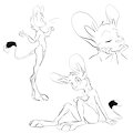 210610 Lucks by Animancer