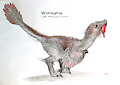 Velociraptor