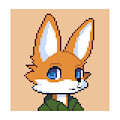 Blink Fox