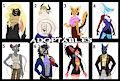ADOPTS ANTHRO STYLE