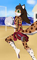 Volleyball
