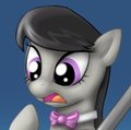 Octavia Beef