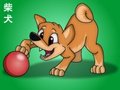 Shiba Inu