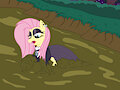 Fluttergoth takes a mud bath by mucky