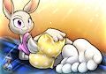 Judy Hopps