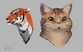 cat studies by anthrolotl