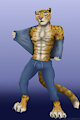 Just a tiger