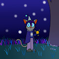 Mysterious Mage