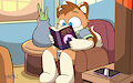 Reading a book