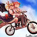 #116 - Tandem Skydiving