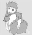 Max Feet
