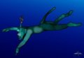 Snorkle Diving - 2007
