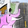 A Spider, A House, and A Road - 2008