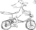 Biking McBird - 2009