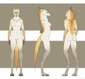 Jyoti ref