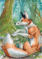 Fox Among the Ferns