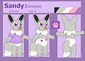 Sandy Shiny Eevee Reference Sheet