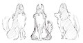 more husky character exploration by anthrolotl