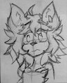 Sketch dump