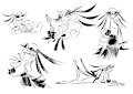Office bird sketches