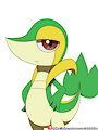 Snivy