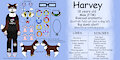 Harvey Ref Sheet [2021]
