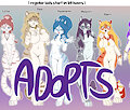 *REGULAR BIDS LIVE*_Tigers