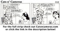 Cats n Cameras Strip 142 - Movie Time