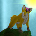 Waking to Kuri