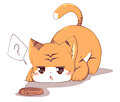 hungry cat