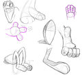 Pawb Study