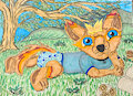 Perfect day by 1coyotpup