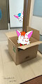 Cat box