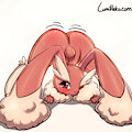 #171 - #jackochallenge - Lopunny