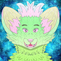 Shizen Headshot